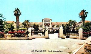 Ain-Temouchent - Ecole Agriculture